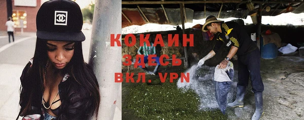 Альфа ПВП Аркадак