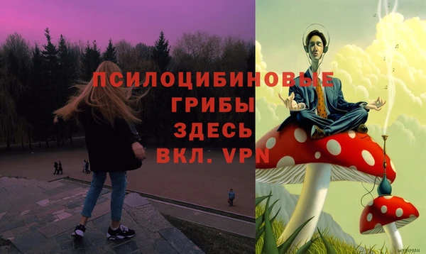 кокс Армянск