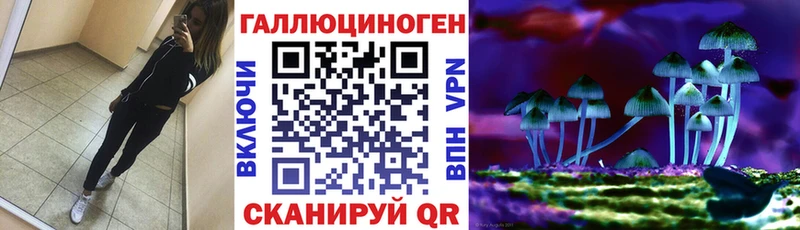 магазин    Суджа  Псилоцибиновые грибы Psilocybine cubensis 
